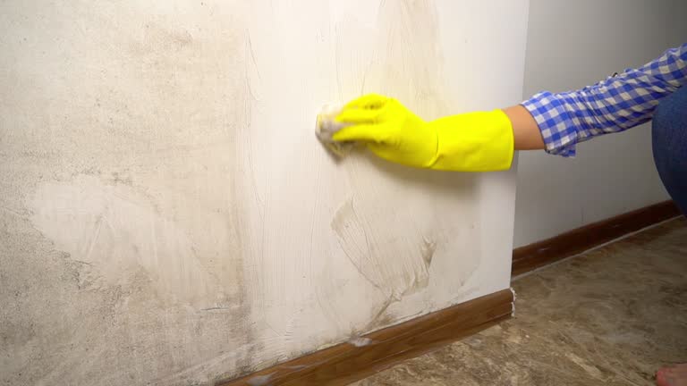 Reliable Cherokee, OK Mold Removal Solutions