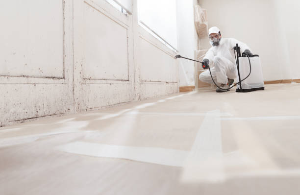 Biohazard Mold Removal in Cherokee, OK